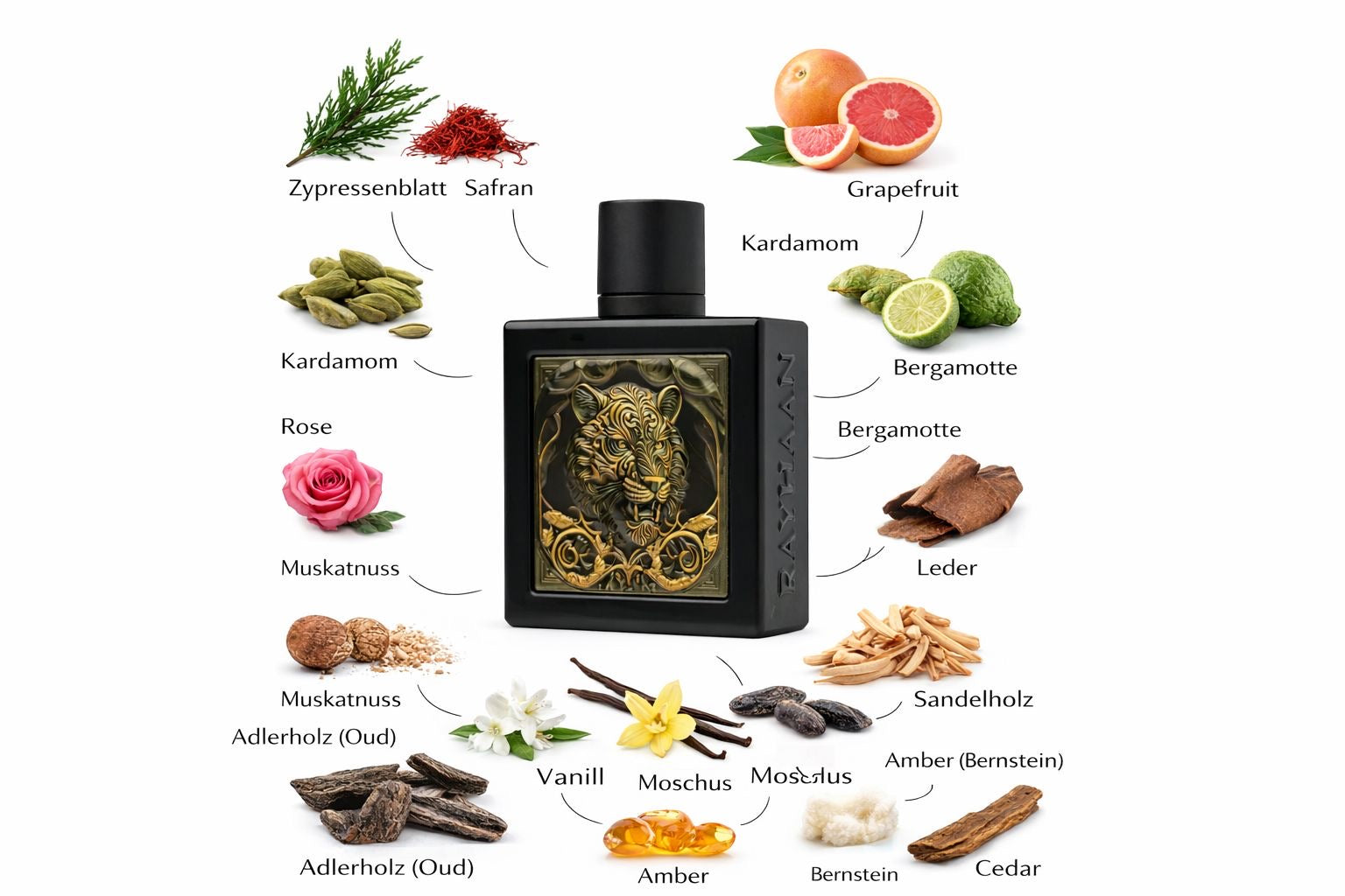 Rayhaan Tiger 100ml